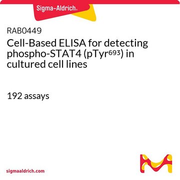 Cell-Based ELISA for detecting phospho-STAT4
