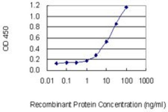 Monoclonal Anti-IL26, (C-terminal) antibody produced