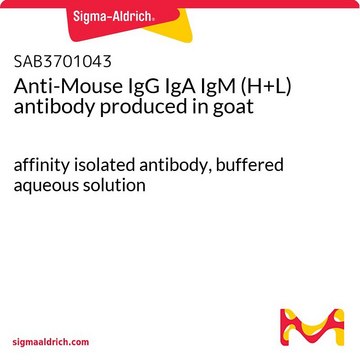 Anti-Mouse IgG IgA IgM (H+L)