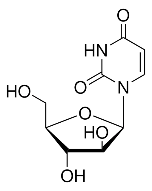 Uracil arabinoside