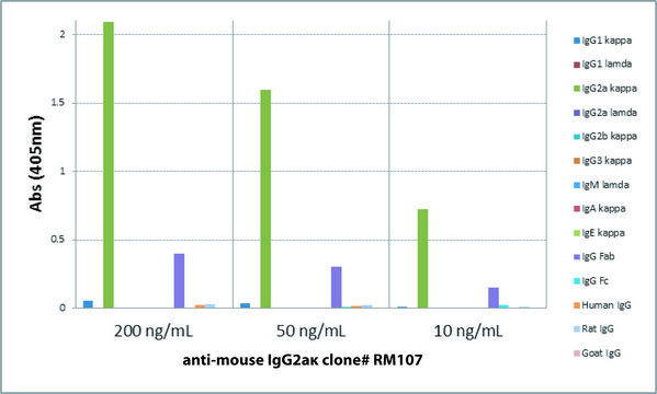 Anti-Mouse IgG2a kappa-Biotin antibody, Rabbit
