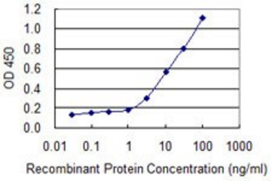 Monoclonal Anti-SNTB2 antibody produced in