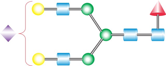 A1F Glycan ammonium salt