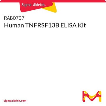 Human TNFRSF13B ELISA Kit