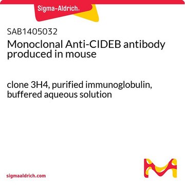 Monoclonal Anti-CIDEB antibody produced in
