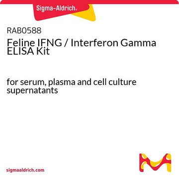 Feline IFNG / Interferon Gamma