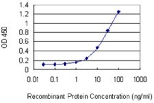 Monoclonal Anti-RHOQ antibody produced in