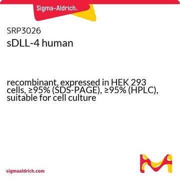sDLL-4 human