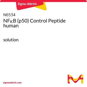NF?B (p50) Control Peptide human
