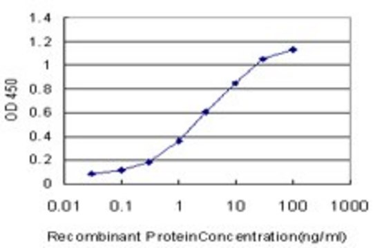 Monoclonal Anti-KLF9 antibody produced in