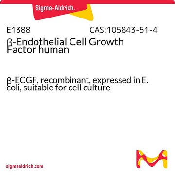 ?-Endothelial Cell Growth Factor human