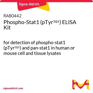 Phospho-Stat1 (pTyr??¹) ELISA Kit