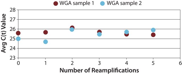 GenomePlex® WGA Reamplification Kit