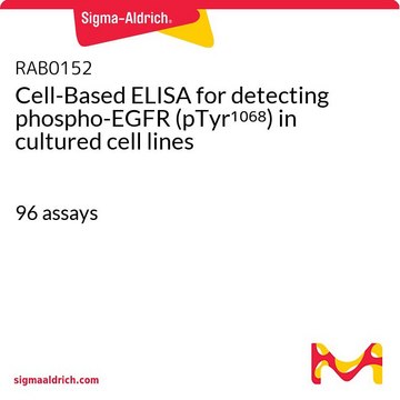 Cell-Based ELISA for detecting phospho-EGFR