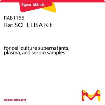 Rat SCF ELISA Kit