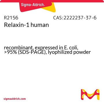 Relaxin-1 human