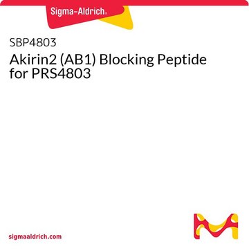 Akirin2 (AB1) Blocking Peptide for