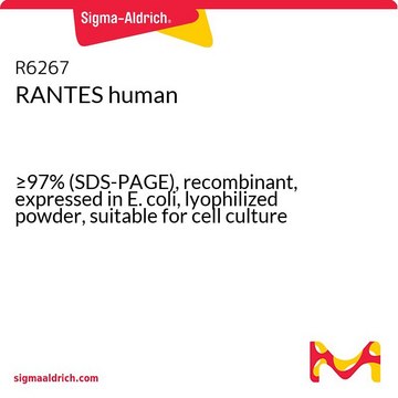 RANTES human
