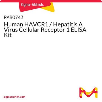 Human HAVCR1 / Hepatitis A