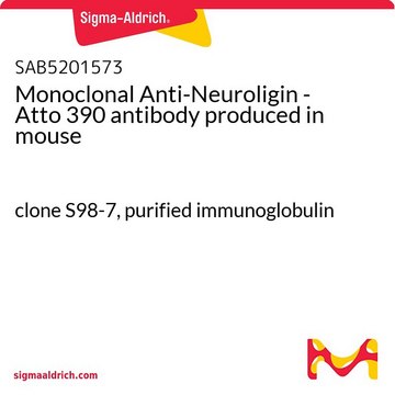Monoclonal Anti-Neuroligin - Atto 390