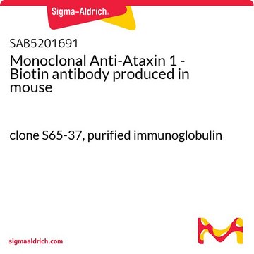 Monoclonal Anti-Ataxin 1 - Biotin