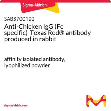 Anti-Chicken IgG (Fc specific)-Texas Red®