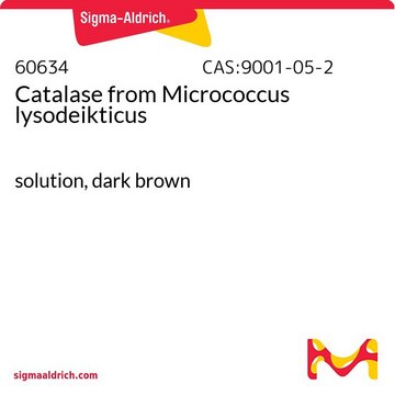Catalase from Micrococcus lysodeikticus