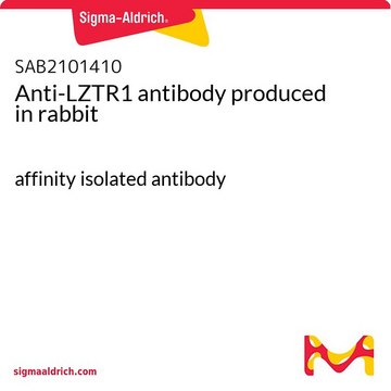 Anti-LZTR1 antibody produced in rabbit