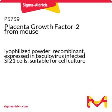 Placenta Growth Factor-2 from mouse