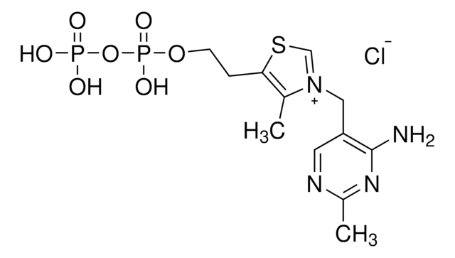 Thiamine pyrophosphate