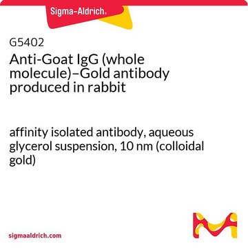Anti-Goat IgG (whole molecule)–Gold antibody