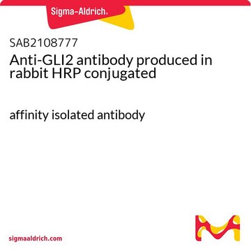 Anti-GLI2 antibody produced in rabbit