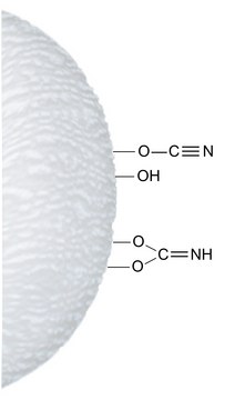 Cyanogen bromide-activated-Sepharose™ 4B