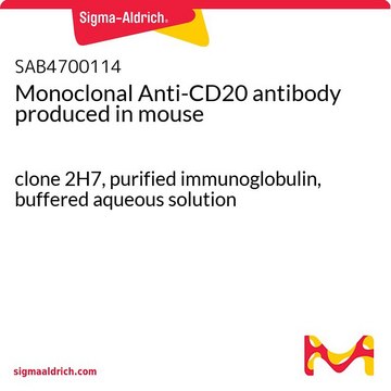 Monoclonal Anti-CD20 antibody produced in