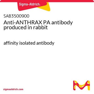 Anti-ANTHRAX PA antibody produced in