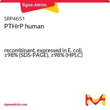 PTHrP human
