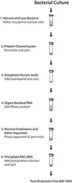 PhasePrep™ BAC DNA Kit