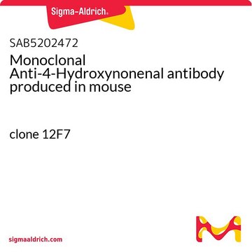 Monoclonal Anti-4-Hydroxynonenal antibody produced in