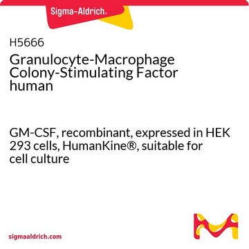 Granulocyte-Macrophage Colony-Stimulating Factor human