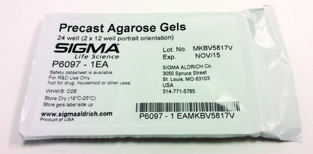 Precast Agarose Gels