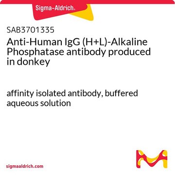 Anti-Human IgG (H+L)-Alkaline Phosphatase antibody