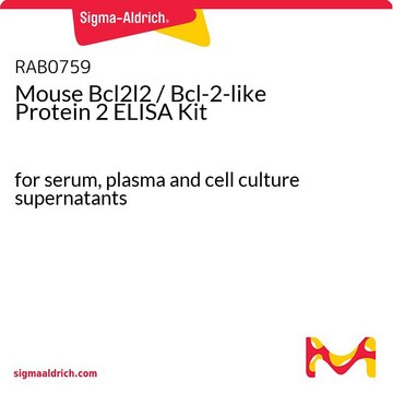 Mouse Bcl2l2 / Bcl-2-like Protein