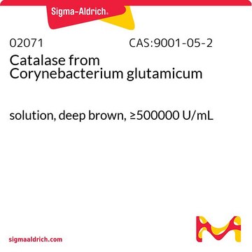 Catalase from Corynebacterium glutamicum