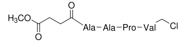 N-(Methoxysuccinyl)-Ala-Ala-Pro-Val-chloromethyl ketone