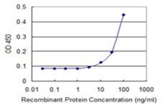 Monoclonal Anti-COG4 antibody produced in