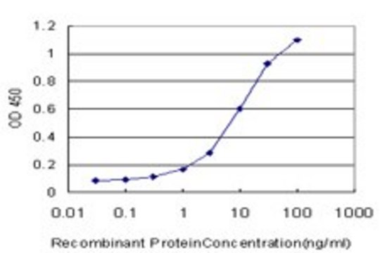 Monoclonal Anti-NHP2L1 antibody produced in