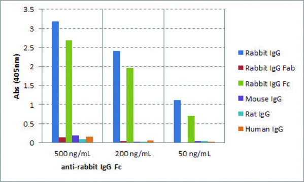 Anti-Mouse IgG-Biotin antibody, Goat monoclonal