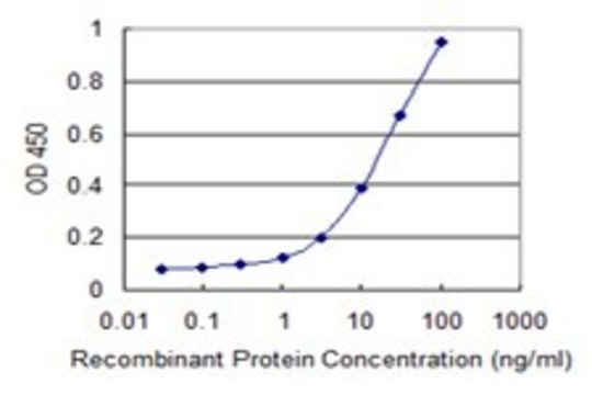 Monoclonal Anti-PANK4, (C-terminal) antibody produced