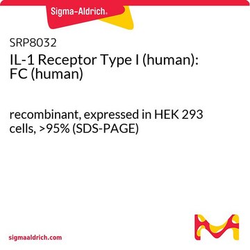 IL-1 Receptor Type I (human):