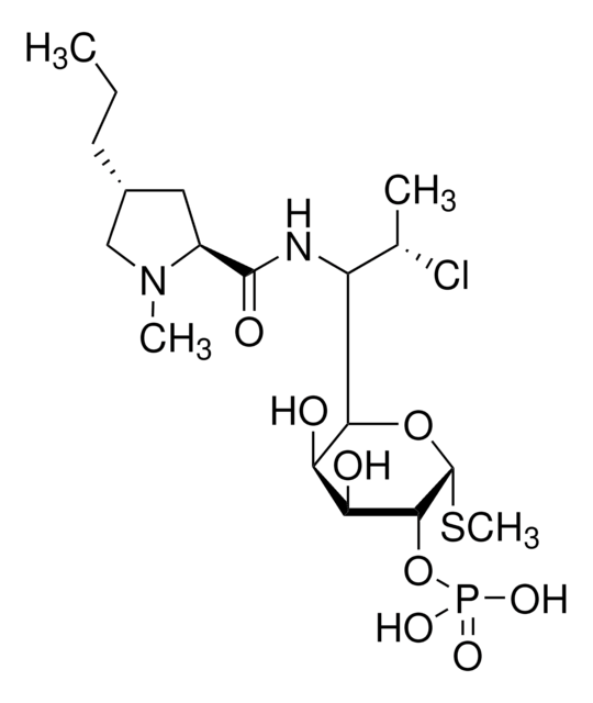 Clindamycin phosphate for system suitability